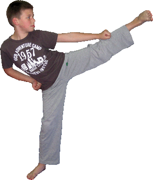 taekwondo kwon robert